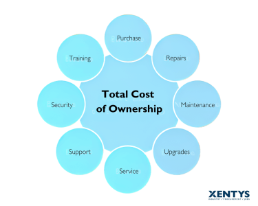 Total cost of ownership diagram